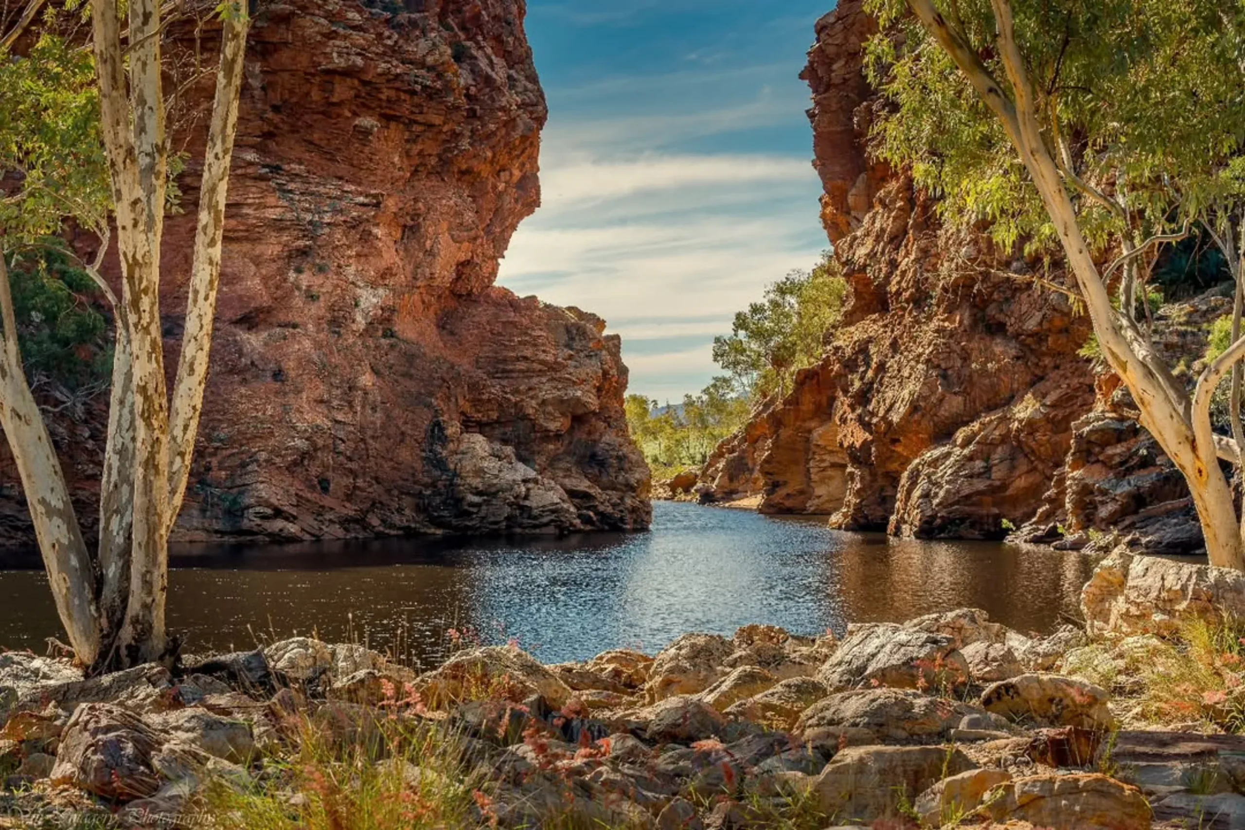 MacDonnell Ranges, Larapinta